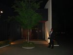 DSC00600.jpg