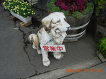 DSCN0828.jpg