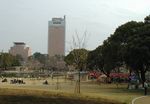 P1010060_2.jpg