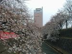 P1010064_2.jpg